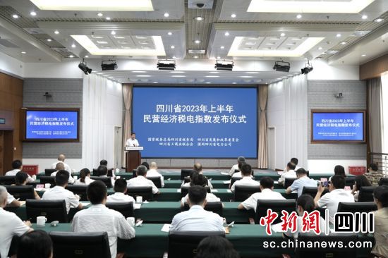 2023年上半年“民營(yíng)經(jīng)濟(jì)稅電指數(shù)”四川稅務(wù)供圖 2023年上半年“民營(yíng)經(jīng)濟(jì)稅電指數(shù)”四川稅務(wù)供圖