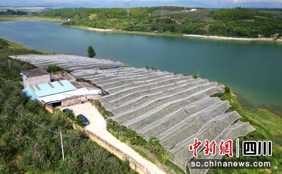 �����ܺ�����O����ͥ�r(n��ng)�������� �z