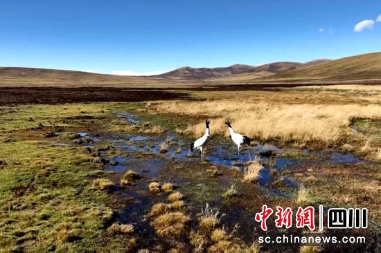 ʯ����ԭ����ϵĺ��i�Q���ؕx��z