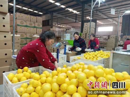 ������I(y��)���˷֒��r���������� �z