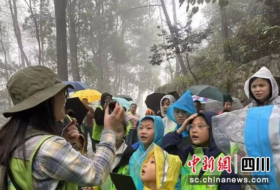 ӬF(xin)shý D
