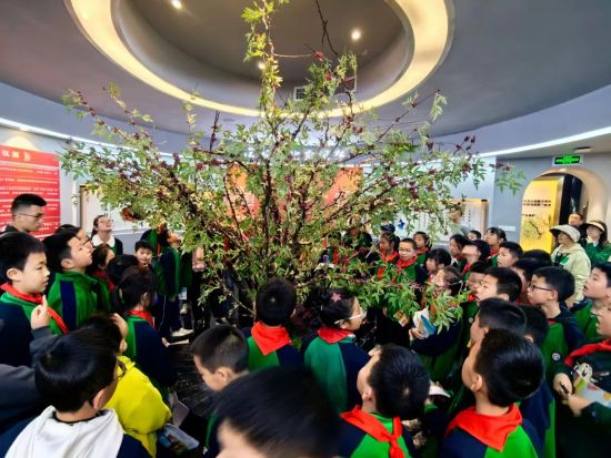 雅安市雨城區(qū)漢碑慈濟(jì)小學(xué)在漢源花椒博覽園開(kāi)展“椒香滿溢 甜蜜漢源”研學(xué)實(shí)踐活動(dòng) 雅安市雨城區(qū)漢碑慈濟(jì)小學(xué)在漢源花椒博覽園開(kāi)展“椒香滿溢 甜蜜漢源”研學(xué)實(shí)踐活動(dòng)