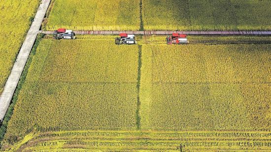 ǻr(nng)I(y)r(nng)C(j)؞Lի@ȫ^