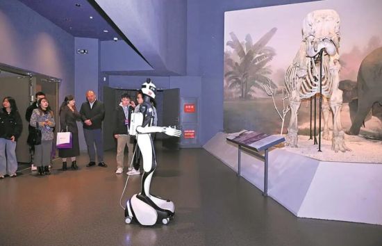 “小芯”在成都自然博物館講解 “小芯”在成都自然博物館講解