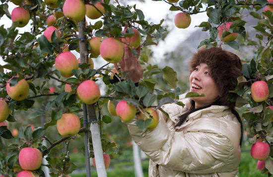 ���ο��w�(y��n)�O(p��ng)����ժ�� ���꾰/�z