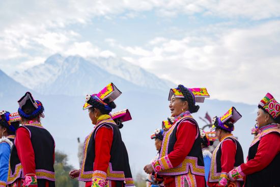 ������������Ǽ��Ⱥ���� �x�Ǐ�/�z