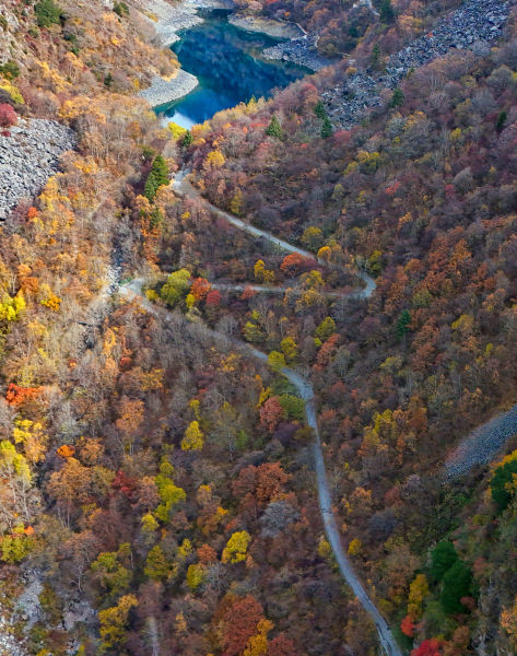 �����ֱMȾ�� �f(w��n)�y/�z