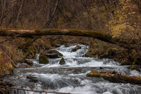 ����ƺ���L(f��ng)���箋�� ������/�z