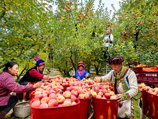 ���t��ʿ�S�ղ���æ�� Ҧ����/�z 