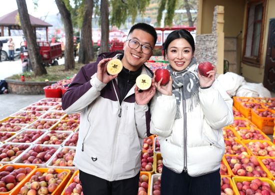 ���W(w��ng)�t������С���ӡ��c���ӡ� �㽭/�z