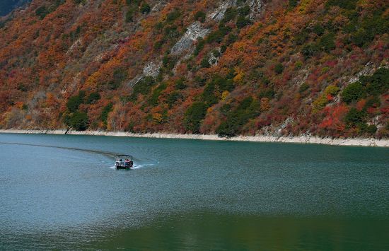 �����^(q��)�δ��� ���M/�z