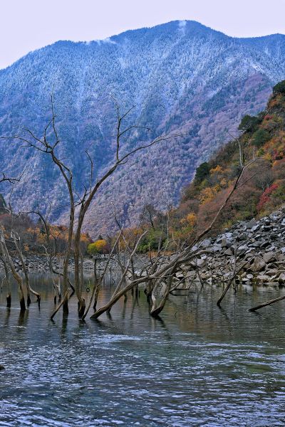 ��ī���� ���M/�z