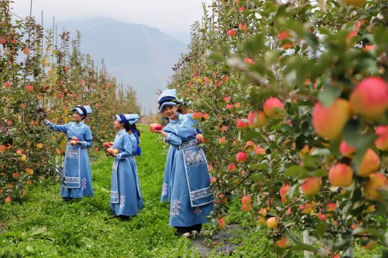 ��Ǽ����Ů�� ����h/�z