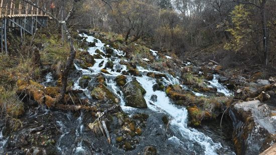 �����Ñ����� ����/�z