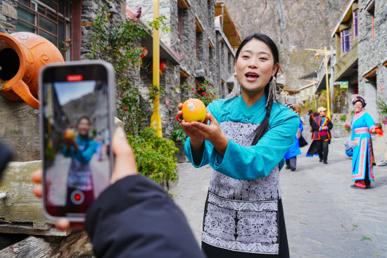 ��ï���O��չʾ�� ��͢��/�z