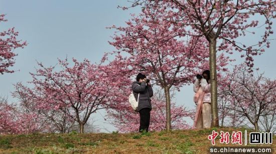 �ѻ���ʢ���ɶ����½�^(q��)ί���������D