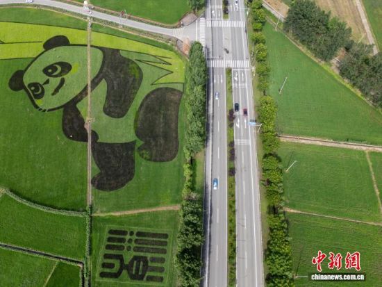 2025��6��25�գ����Ĵ��ɶ��������츮�Z�}��(gu��)�ҬF(xi��n)���r(n��ng)�I(y��)�a(ch��n)�I(y��)�@��һ�����ʹ���؈�D���Ƕ���f���������g��(�o�˙C(j��)��Ƭ) ӛ�� ���� �z